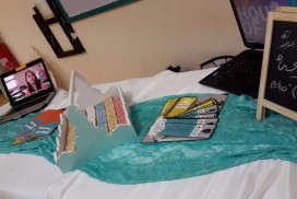 IMG 2851-272x182